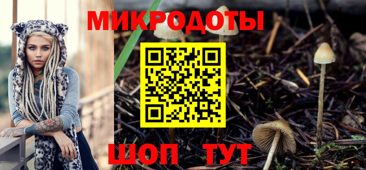 Кувандык  Псилоцибиновые грибы мицелий  дарнет шоп  Вход с VPN  Псилоцибиновые грибы мицелий 